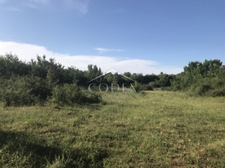 Land - Sale - ISTARSKA - BARBAN - MANJADVORCI