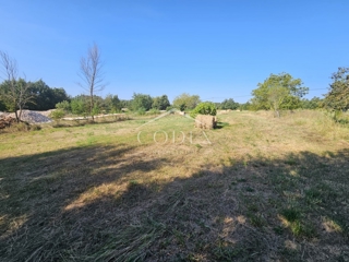 Land - Sale - ISTARSKA - ŽMINJ - ŽMINJ