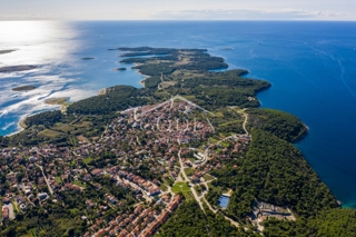 Land - Sale - ISTARSKA - MEDULIN - PREMANTURA