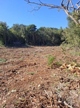 Grundstück - Verkauf - PRIMORSKO-GORANSKA - MALI LOŠINJ - ĆUNSKI
