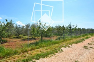 Grundstück - Verkauf - ISTARSKA - NOVIGRAD - NOVIGRAD