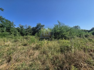 Land - Sale - ISTARSKA - VIŠNJAN - VIŠNJAN
