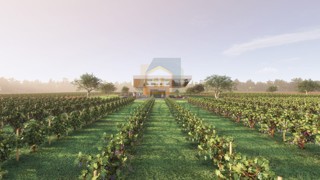 Grundstück - Verkauf - ISTARSKA - BUJE - BUJE