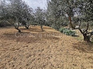 Zemljište - Prodaja - ZADARSKA - VIR - VIR