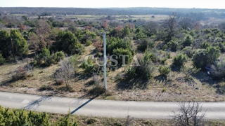 Grundstück - Verkauf - ZADARSKA - POLIČNIK - DRAČEVAC NINSKI