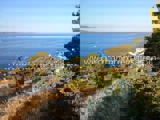 Zemljište - Prodaja - SPLITSKO-DALMATINSKA - BRAČ - BRAČ