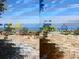 Grundstück - Verkauf - SPLITSKO-DALMATINSKA - BRAČ - BRAČ