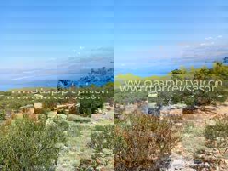 Zemljište - Prodaja - SPLITSKO-DALMATINSKA - BRAČ - BRAČ
