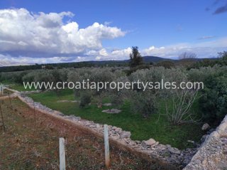 Land - Sale - SPLITSKO-DALMATINSKA - HVAR - HVAR