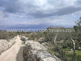 Land - Sale - SPLITSKO-DALMATINSKA - BRAČ - BRAČ