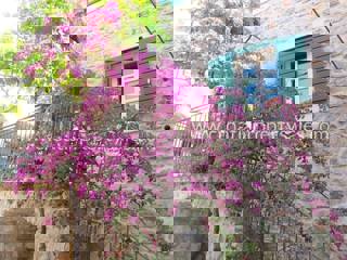 House - Sale - SPLITSKO-DALMATINSKA - HVAR - HVAR