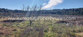 Land - Sale - SPLITSKO-DALMATINSKA - VIS - VIS