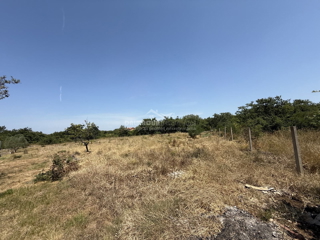 Land - Sale - ZADARSKA - ZEMUNIK DONJI - ZEMUNIK DONJI