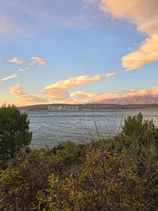 Land - Sale - ZADARSKA - NOVIGRAD - NOVIGRAD