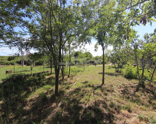 Land - Sale - ZADARSKA - ZADAR - CRNO