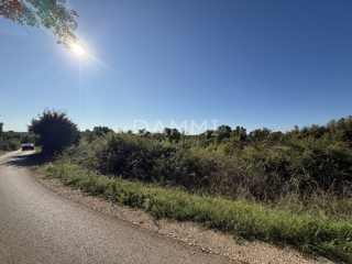 Land - Sale - ISTARSKA - MARČANA - DIVŠIĆI