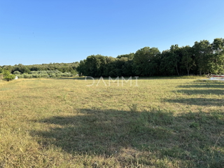 Land - Sale - ISTARSKA - PULA - PULA