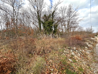 Land - Sale - ISTARSKA - MARČANA - ŠEGOTIĆI
