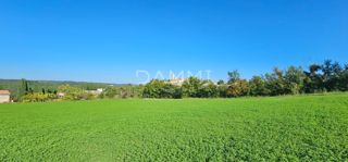 Land - Sale - ISTARSKA - OPRTALJ - OPRTALJ