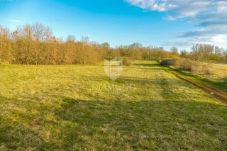 Land - Sale - ISTARSKA - SVETVINČENAT - SVETVINČENAT