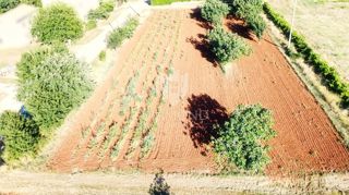 Land - Sale - ISTARSKA - POREČ - POREČ