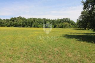 Land - Sale - ISTARSKA - ŽMINJ - ŽMINJ