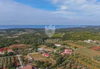 Land - Sale - ISTARSKA - ROVINJ - ROVINJ