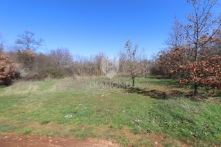 Land - Sale - ISTARSKA - MARČANA - LOBORIKA