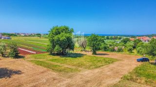 Land - Sale - ISTARSKA - NOVIGRAD - NOVIGRAD