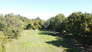 Grundstück - Verkauf - ISTARSKA - POREČ - POREČ