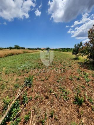 Land - Sale - ISTARSKA - LIŽNJAN - LIŽNJAN