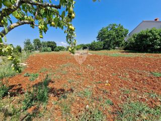 Land - Sale - ISTARSKA - NOVIGRAD - NOVIGRAD