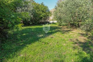 Land - Sale - ISTARSKA - BUJE - BUJE