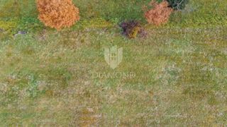 Zemljište - Prodaja - ISTARSKA - MOTOVUN - MOTOVUN