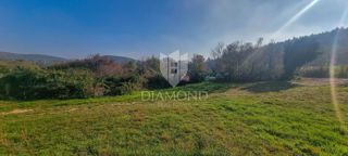 Land - Sale - ISTARSKA - ROVINJ - ROVINJ