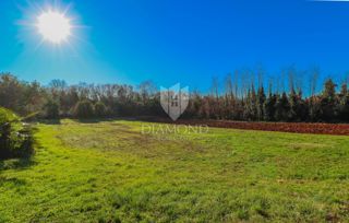 Land - Sale - ISTARSKA - UMAG - UMAG