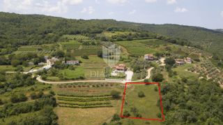 Land - Sale - ISTARSKA - MOTOVUN - MOTOVUN