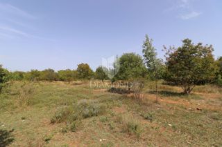 Land - Sale - ISTARSKA - SVETVINČENAT - ČABRUNIĆI