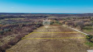Land - Sale - ISTARSKA - BUJE - BUJE