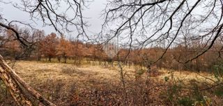 Grundstück - Verkauf - ISTARSKA - ŽMINJ - ŽMINJ