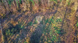 Zemljište - Prodaja - ISTARSKA - UMAG - UMAG