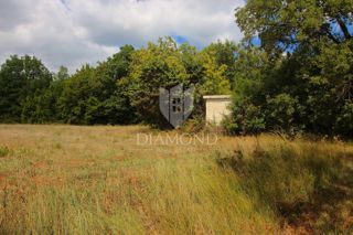 Land - Sale - ISTARSKA - BARBAN - BARBAN
