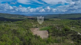 Land - Sale - ISTARSKA - BUJE - BUJE