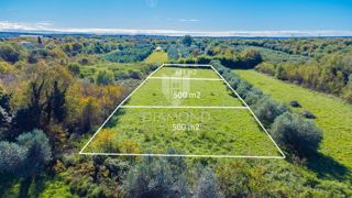 Land - Sale - ISTARSKA - UMAG - UMAG