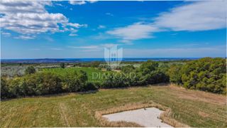 Land - Sale - ISTARSKA - VODNJAN - VODNJAN