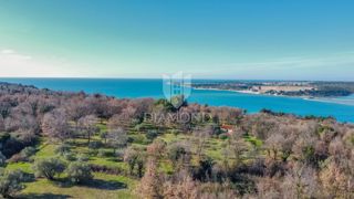 Land - Sale - ISTARSKA - TAR-VABRIGA - TAR