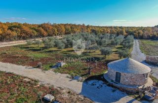 Land - Sale - ISTARSKA - BALE - BALE