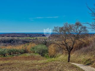 Land - Sale - ISTARSKA - BUJE - BUJE