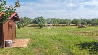 Land - Sale - ISTARSKA - MARČANA - LOBORIKA