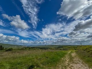 Land - Sale - ISTARSKA - BUJE - BUJE